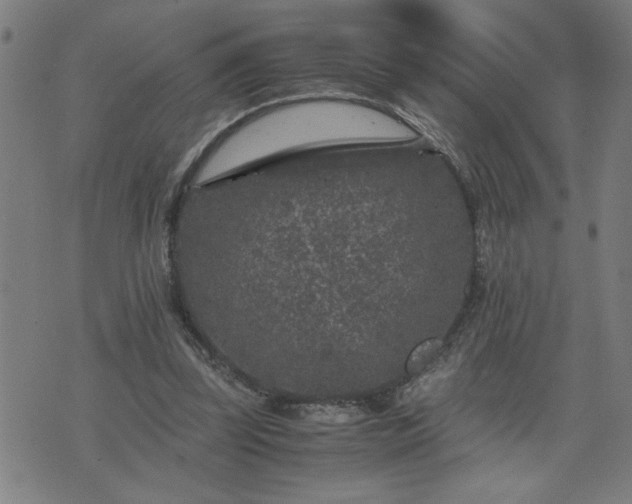 X0000075840347200609221711