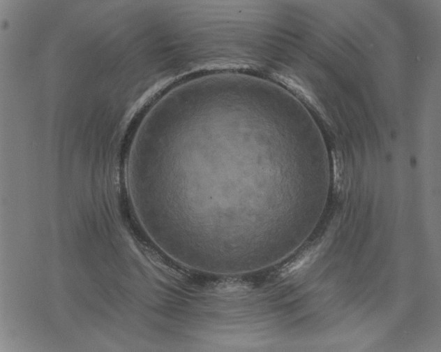 X0000075840348200609221711