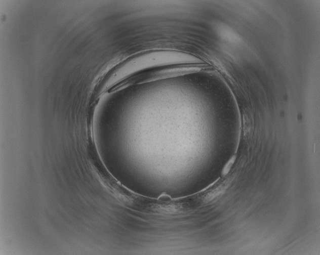 X0000075840349200609221711