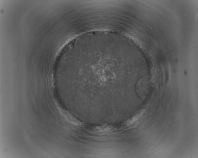 X0000075840351200609221711