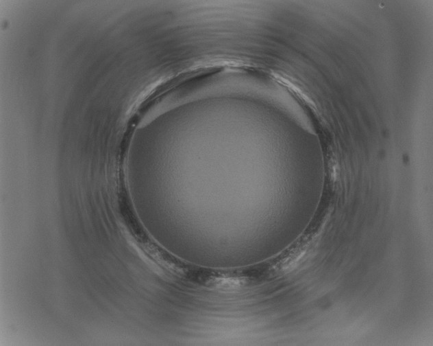 X0000075840352200609221711