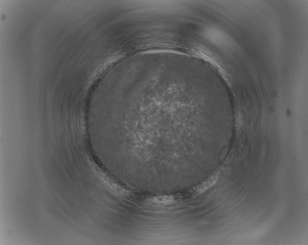 X0000075840353200609221711