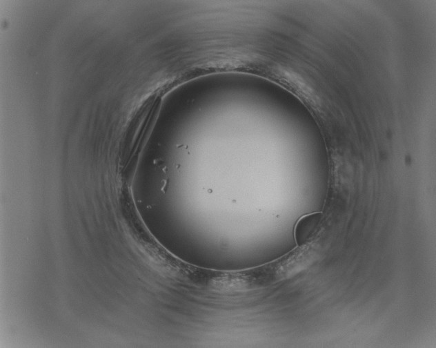 X0000075840354200609221711