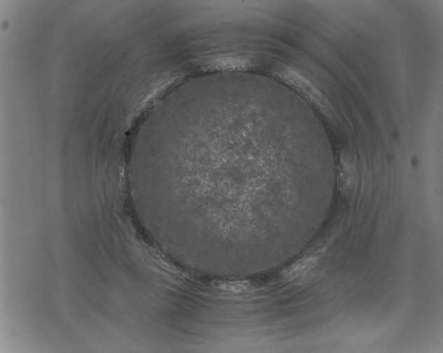 X0000075840355200609221711