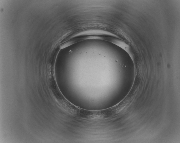 X0000075840356200609221711