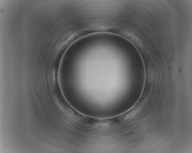 X0000075840358200609221711