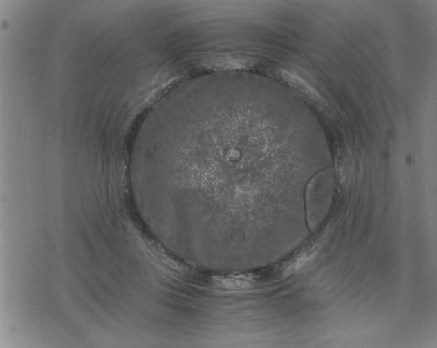 X0000075840359200609221711