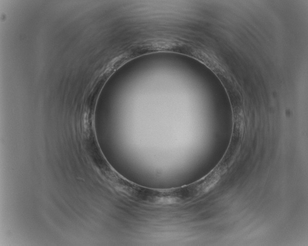 X0000075840360200609221711