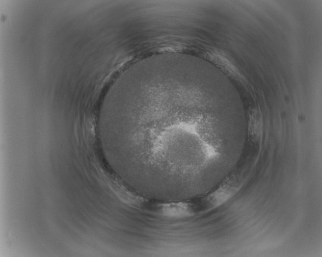 X0000075840363200609221711