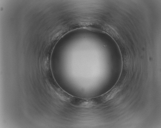 X0000075840364200609221711