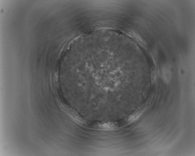 X0000075840365200609221711