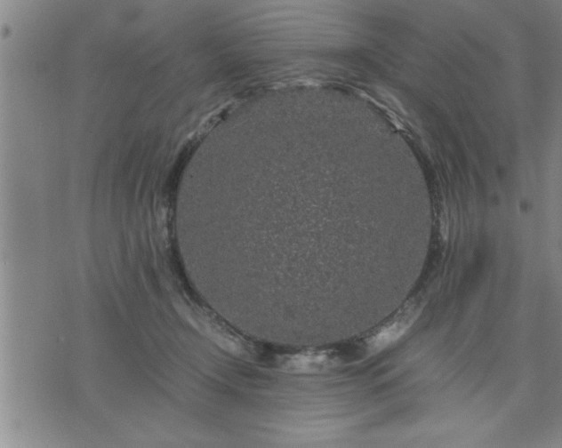 X0000075840366200609221711