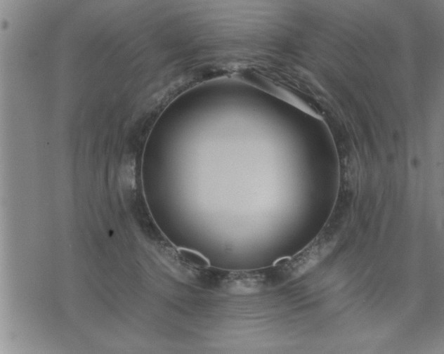 X0000075840368200609221711