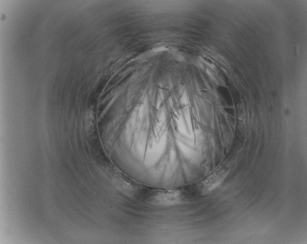 X0000075840369200609221711