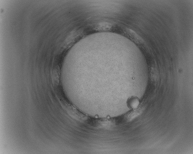 X0000075840370200609221711