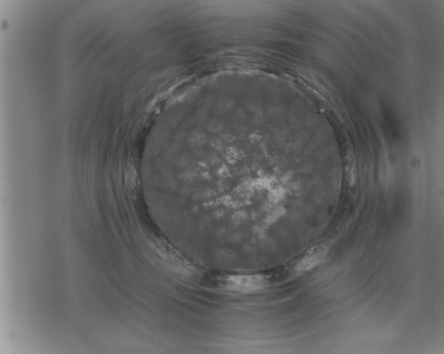 X0000075840371200609221711