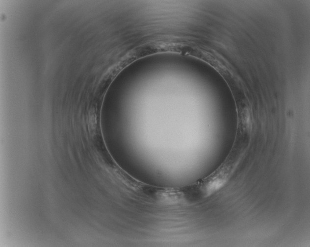 X0000075840372200609221711