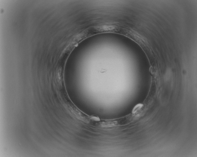 X0000075840373200609221711