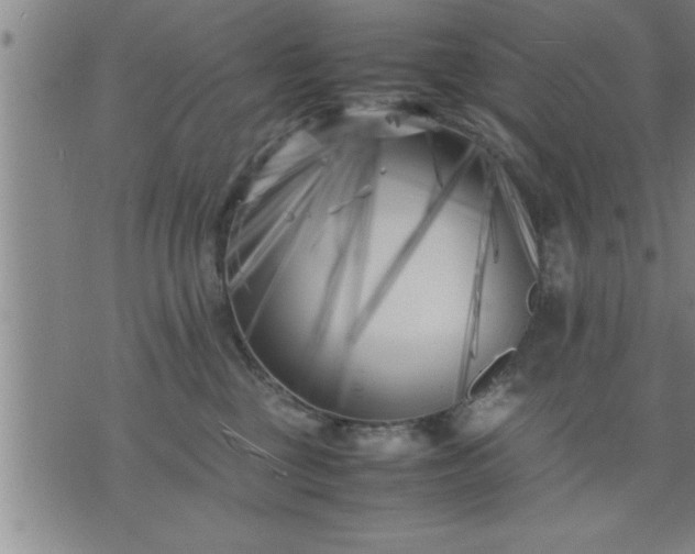 X0000075840377200609221711