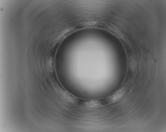 X0000075840378200609221711