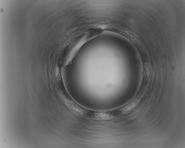 X0000075840380200609221711