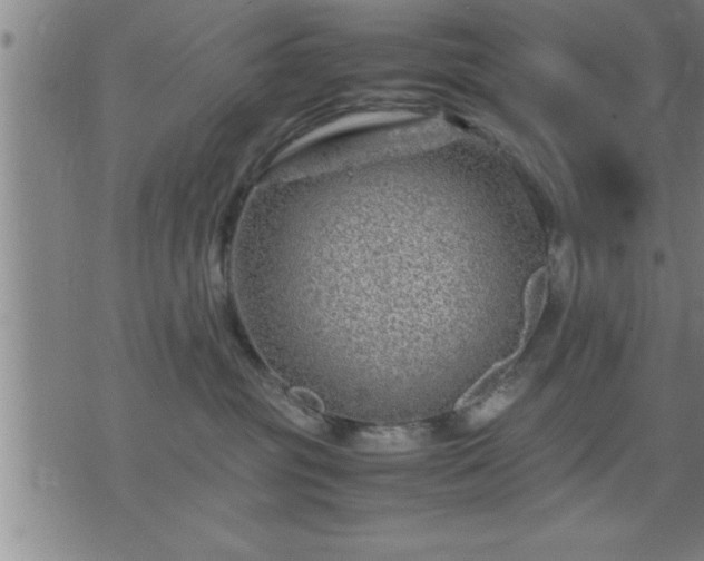 X0000075840381200609221711