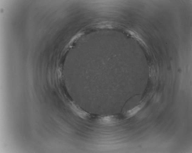 X0000075840382200609221711