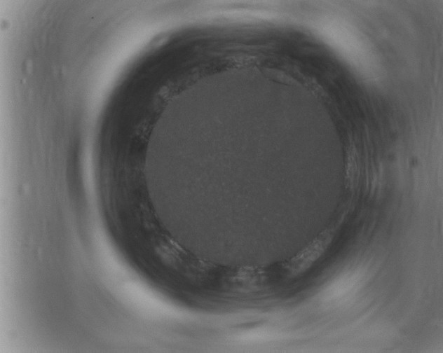 X0000075840383200609221711