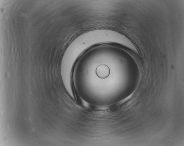 X0000075840384200609221711