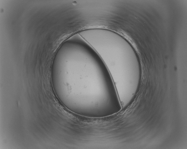 X0000075840385200609221710