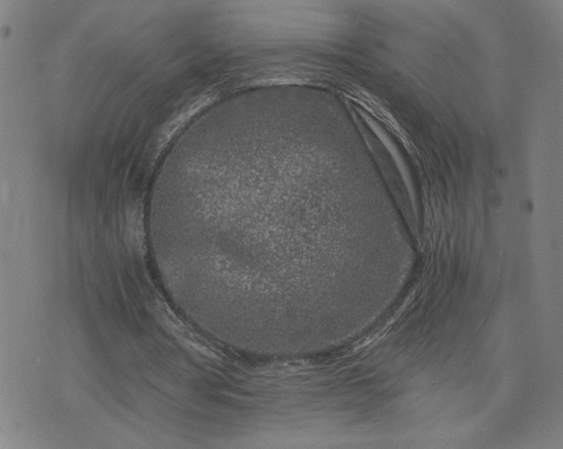 X0000075840386200609221710