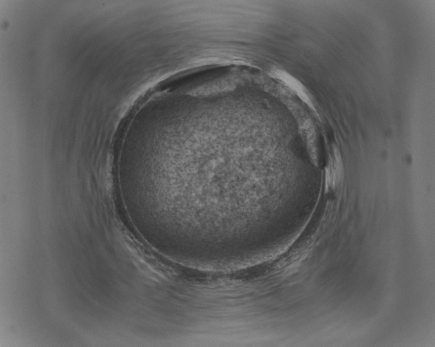 X0000075840387200609221710