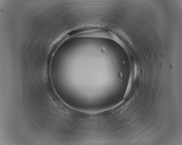 X0000075840388200609221710