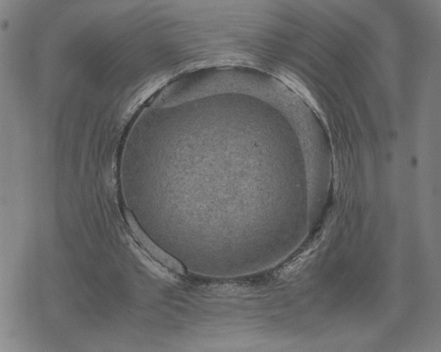 X0000075840389200609221710