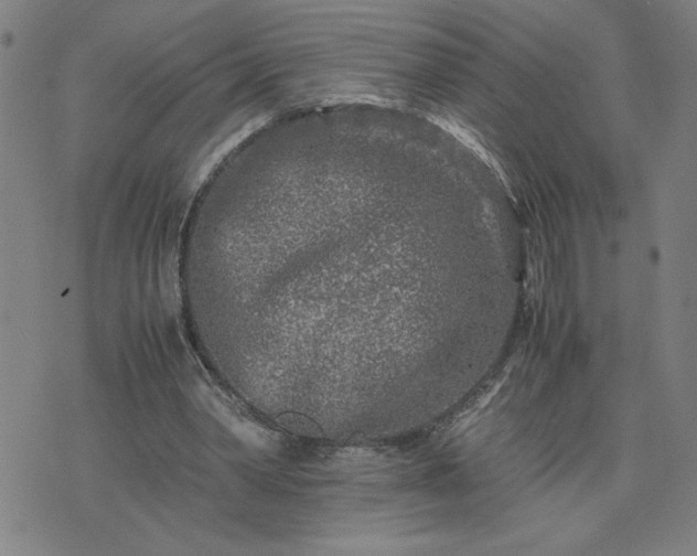 X0000075840390200609221710