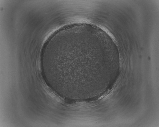 X0000075840391200609221710