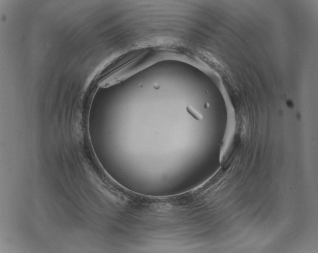 X0000075840392200609221710