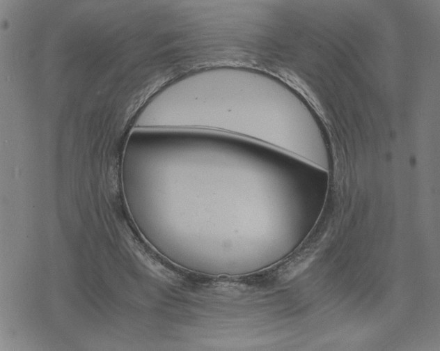 X0000075840393200609221710