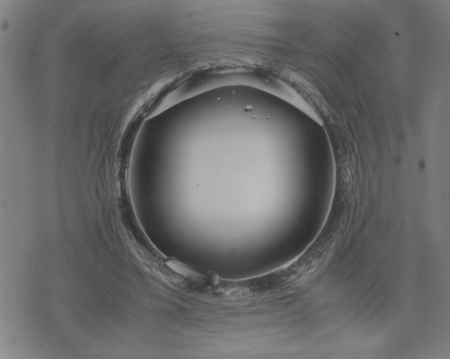 X0000075840395200609221710