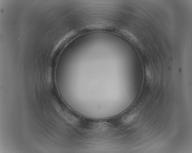 X0000075840396200609221710