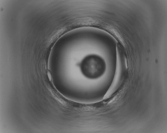 X0000075840397200609221710