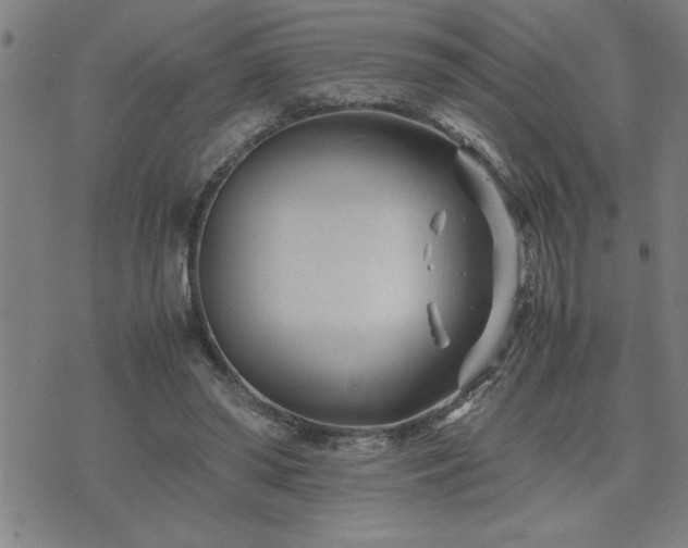 X0000075840398200609221710