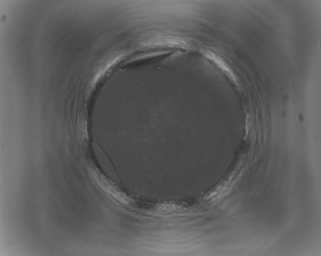 X0000075840399200609221710