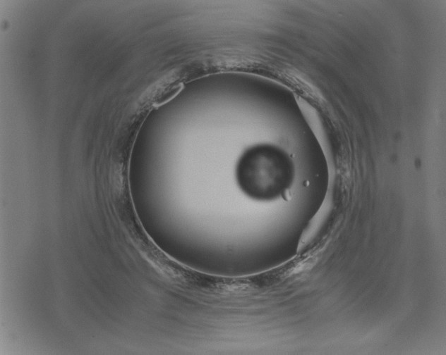 X0000075840401200609221710