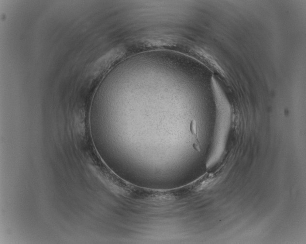 X0000075840402200609221710