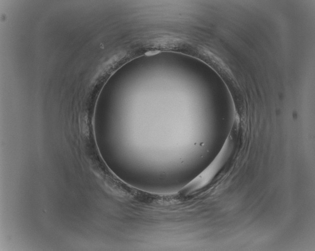 X0000075840403200609221710