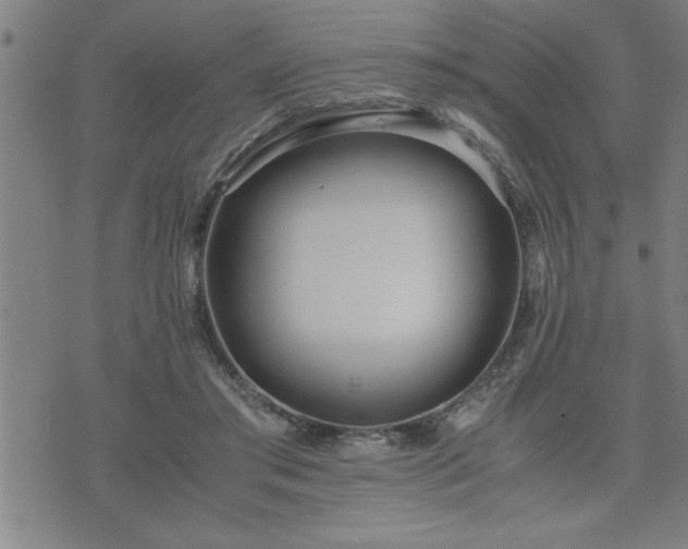 X0000075840405200609221710