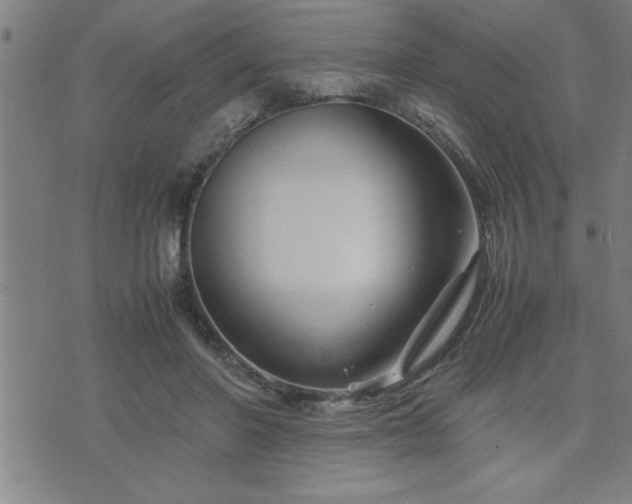 X0000075840406200609221710