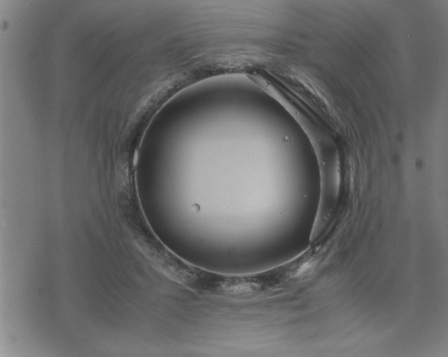 X0000075840407200609221710