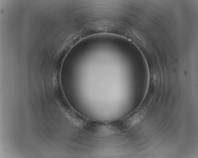 X0000075840408200609221710